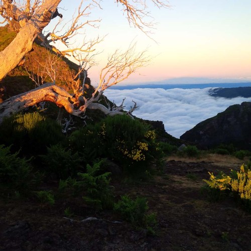 Aussicht unterhalb des Pico Ruivo auf Madeira.