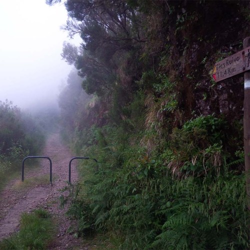 Den Encumeada-Pass auf Madeira erreicht!