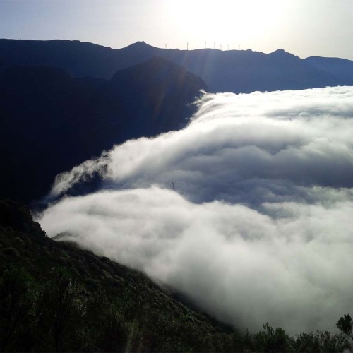 Wandern über der Wolkengrenze auf Madeira.