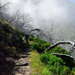 Etappe 2 – Backpacking zum Pico Ruivo auf Madeira