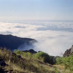 Etappe 1 – Trekking durch den Dschungel von Madeira
