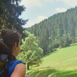 Früchtebrot – das kleine Powerbrot